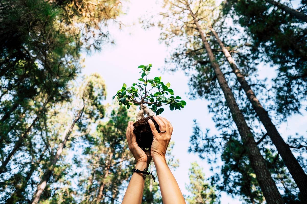 Sustentabilidade
